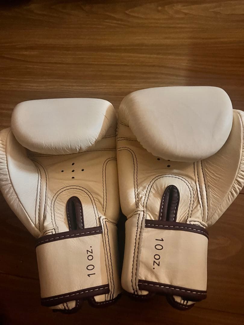 Fairtex フェアテックス グローブ 10oz