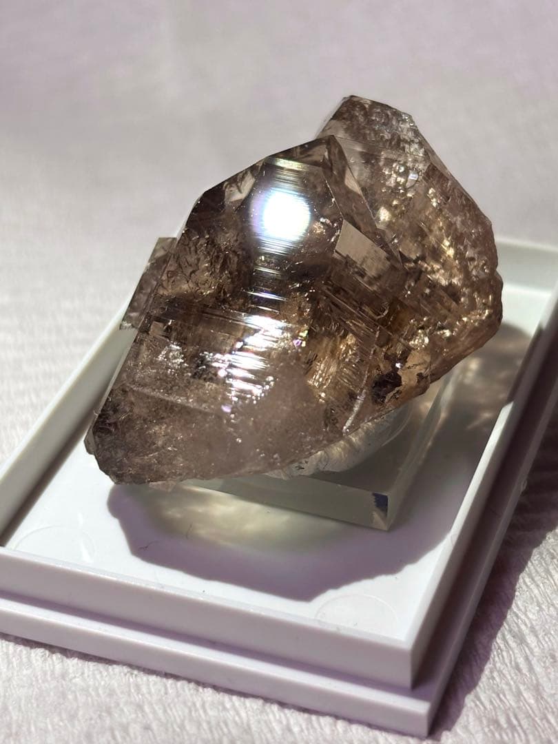 【超希少】アルプス水晶 スモーキークォーツ(スイス産) 煙水晶 鉱物標本