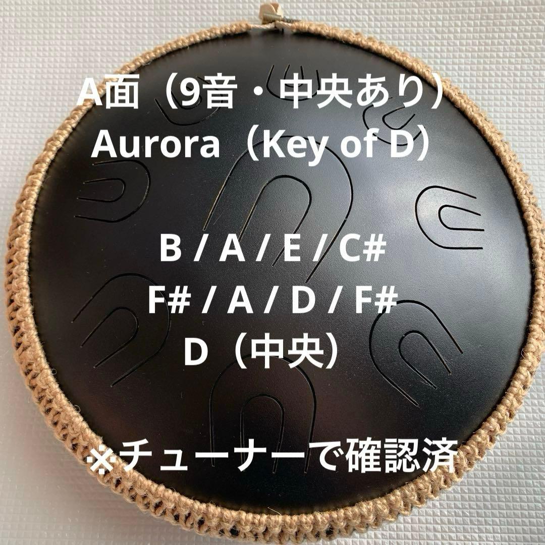 グーダドラム　 両面 オーロラ/イークイノックス　専用バック・マレット付き