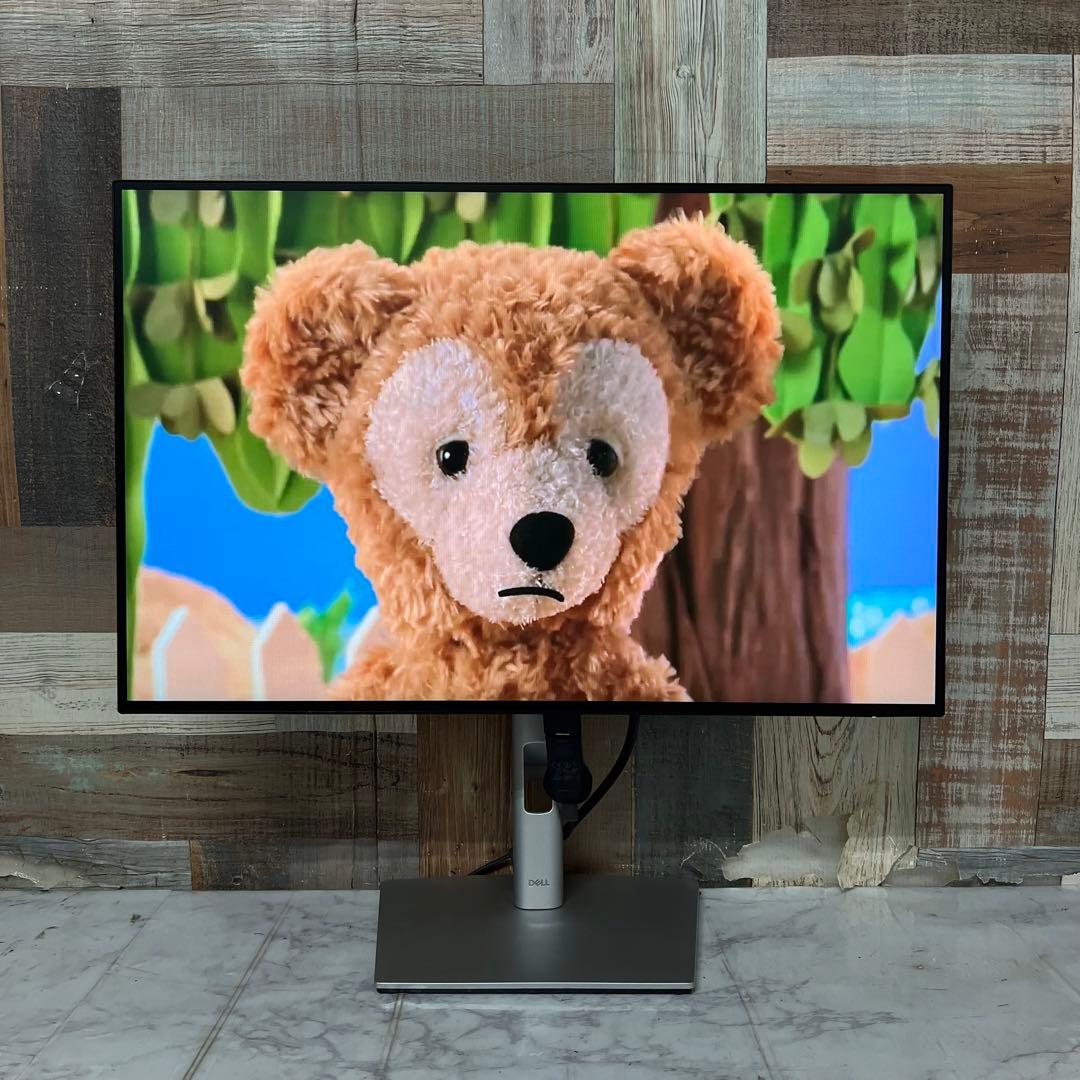 リクエスト価格❣️全国送料込2年前購入DELL24型ワイド液晶モニターブルーライト