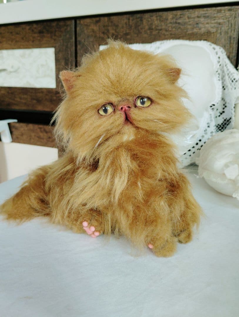 ちょっぴりお姉ちゃん♡エキゾチックロングヘア子猫ちゃん♡アートドール♡ぬいぐるみ