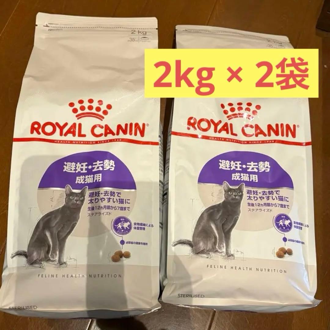 新品 猫 まとめ売り ロイヤルカナン