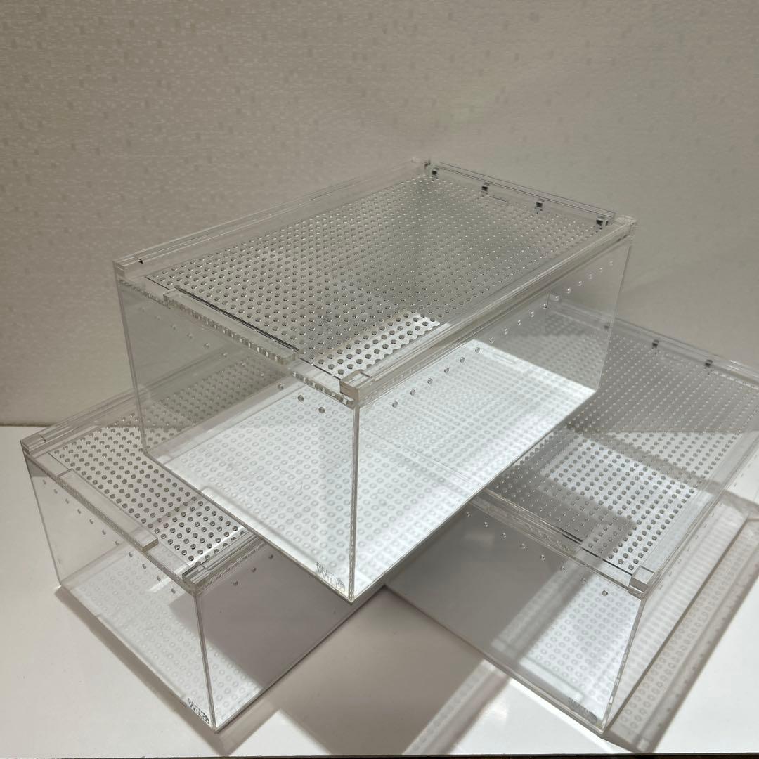 REPTI WILD レプタイルボックス 3個セット
