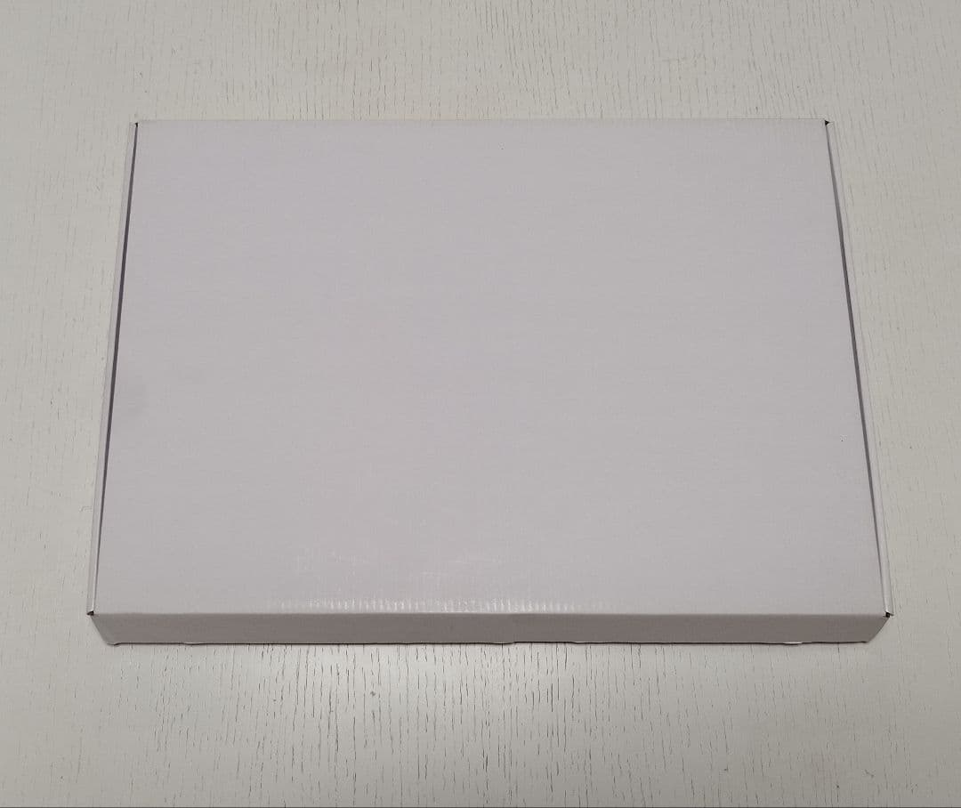 マクロスF　 リベンジLIVE【ビッグアクリルアートパネル】