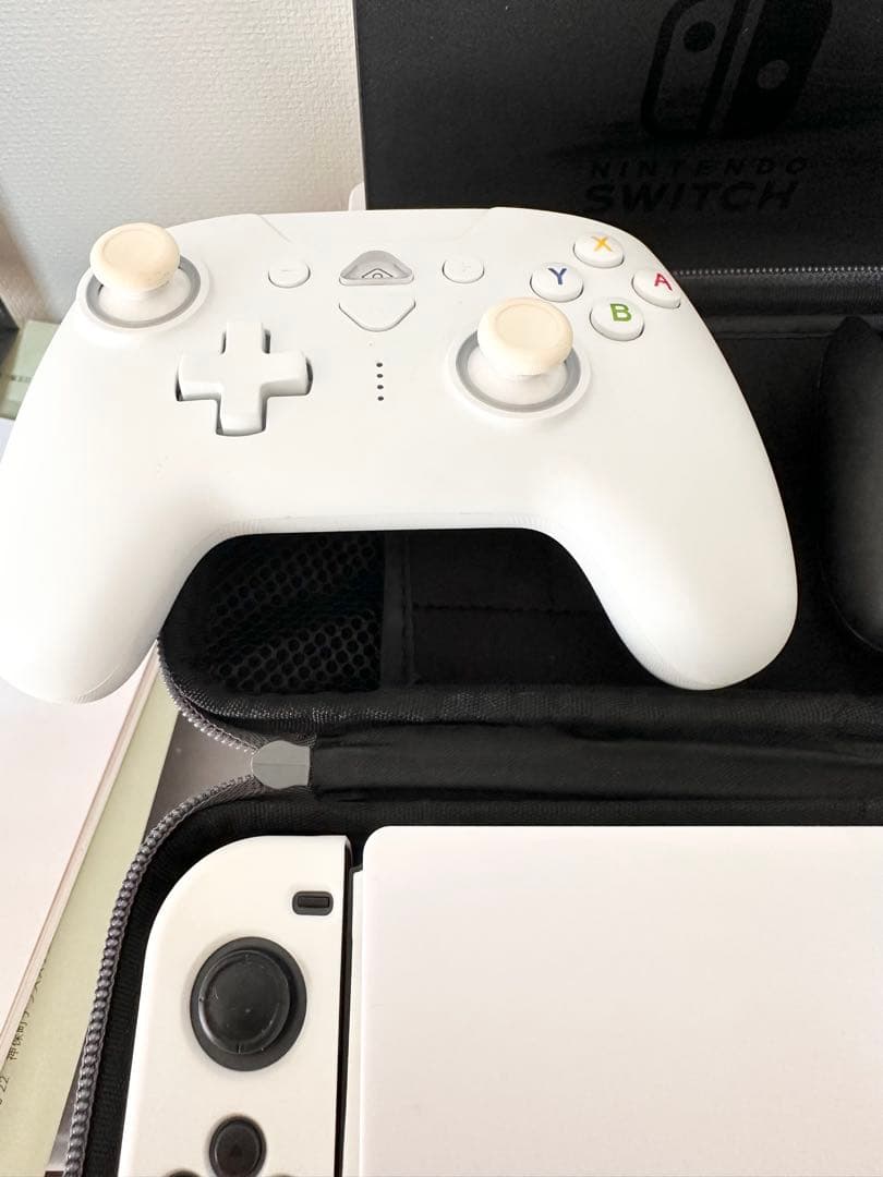 Nintendo Switch 本体 + プロコン + ケース +本体カバー