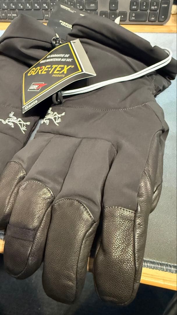 ARC’TERYX Fission Glove アークテリクス グローブ