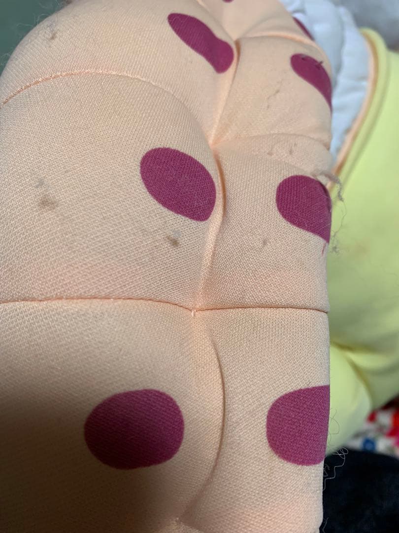 【激レア】恐竜家族　ダイナソーズ　ベイビー　シンクレア