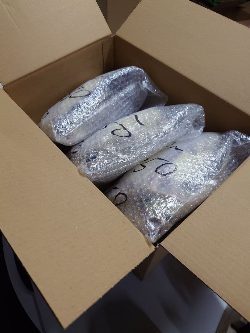 個包装 冷凍ラット260~300g 30匹