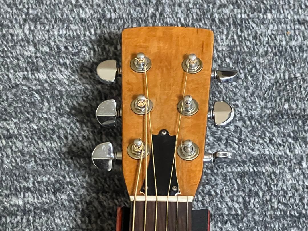 【希少】Greco D-80P？アコースティックギター 美品