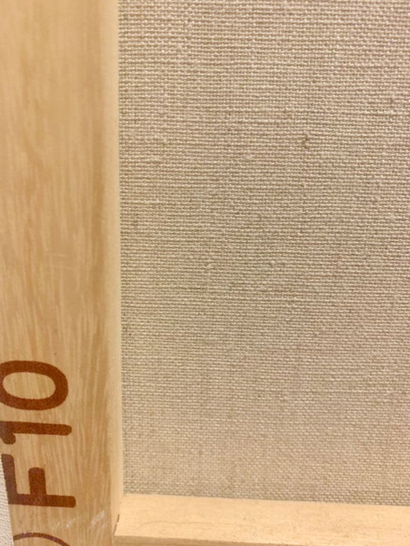 アーティスト無名　北欧アート女の子　F10サイズ　キャンバスアクリル画