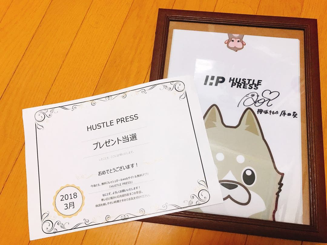 欅坂46 サイン入り ファイル 原田葵 値下げ可能！