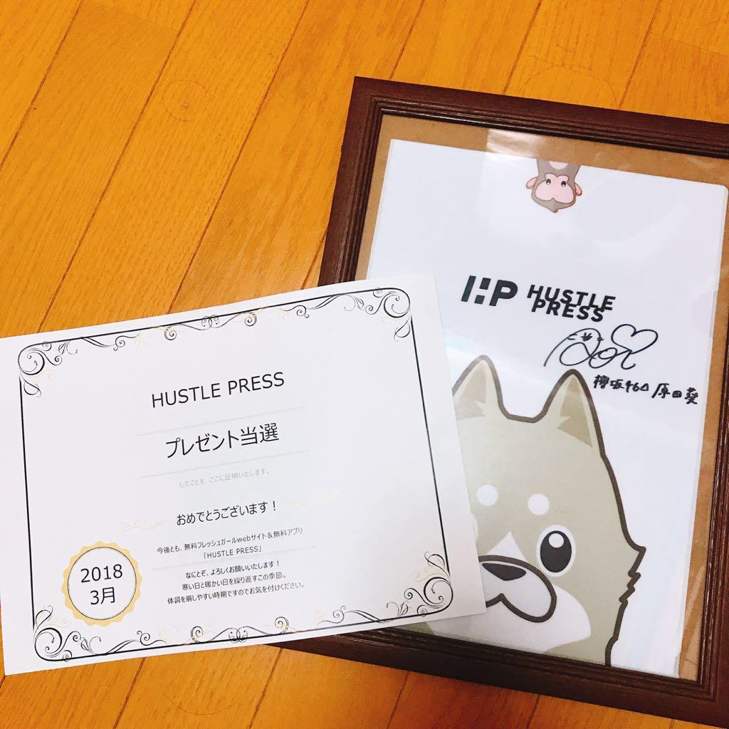 欅坂46 サイン入り ファイル 原田葵 値下げ可能！