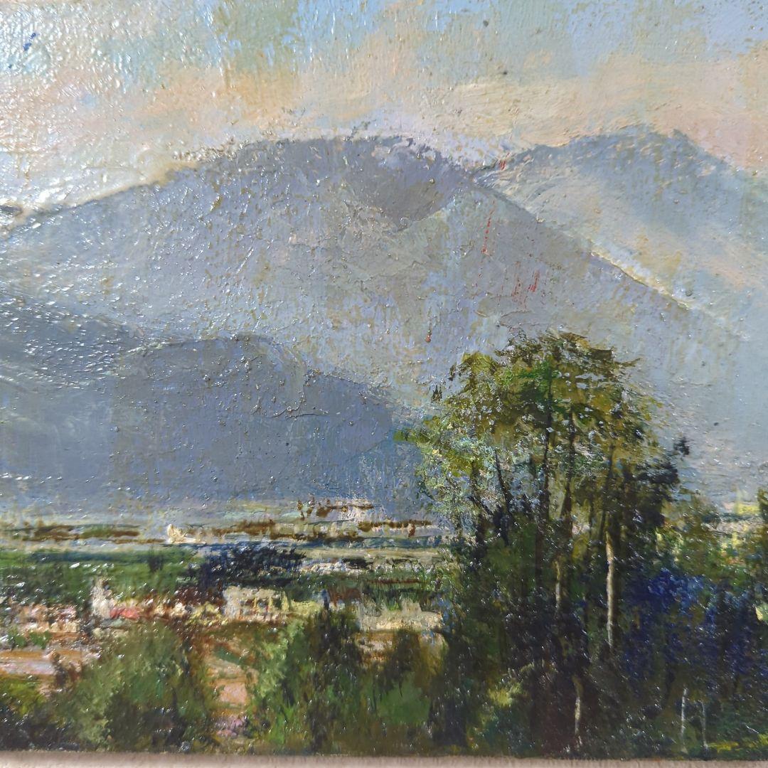 SM号油彩画（額縁なし)No.79