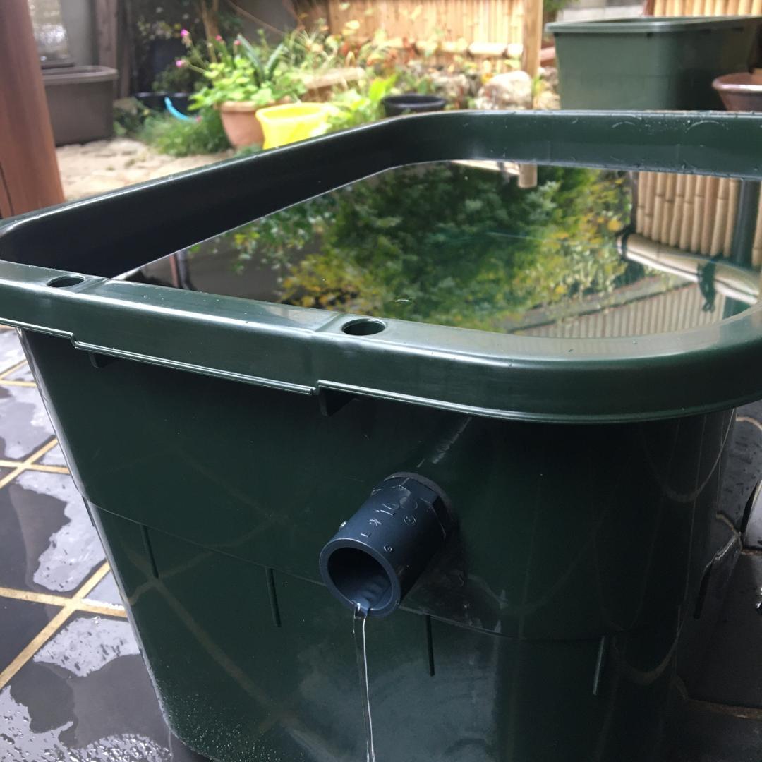 メダカ飼育ケース 36㍑x4個（4色あり）大雨対策付 めだか飼育容器 金魚鉢