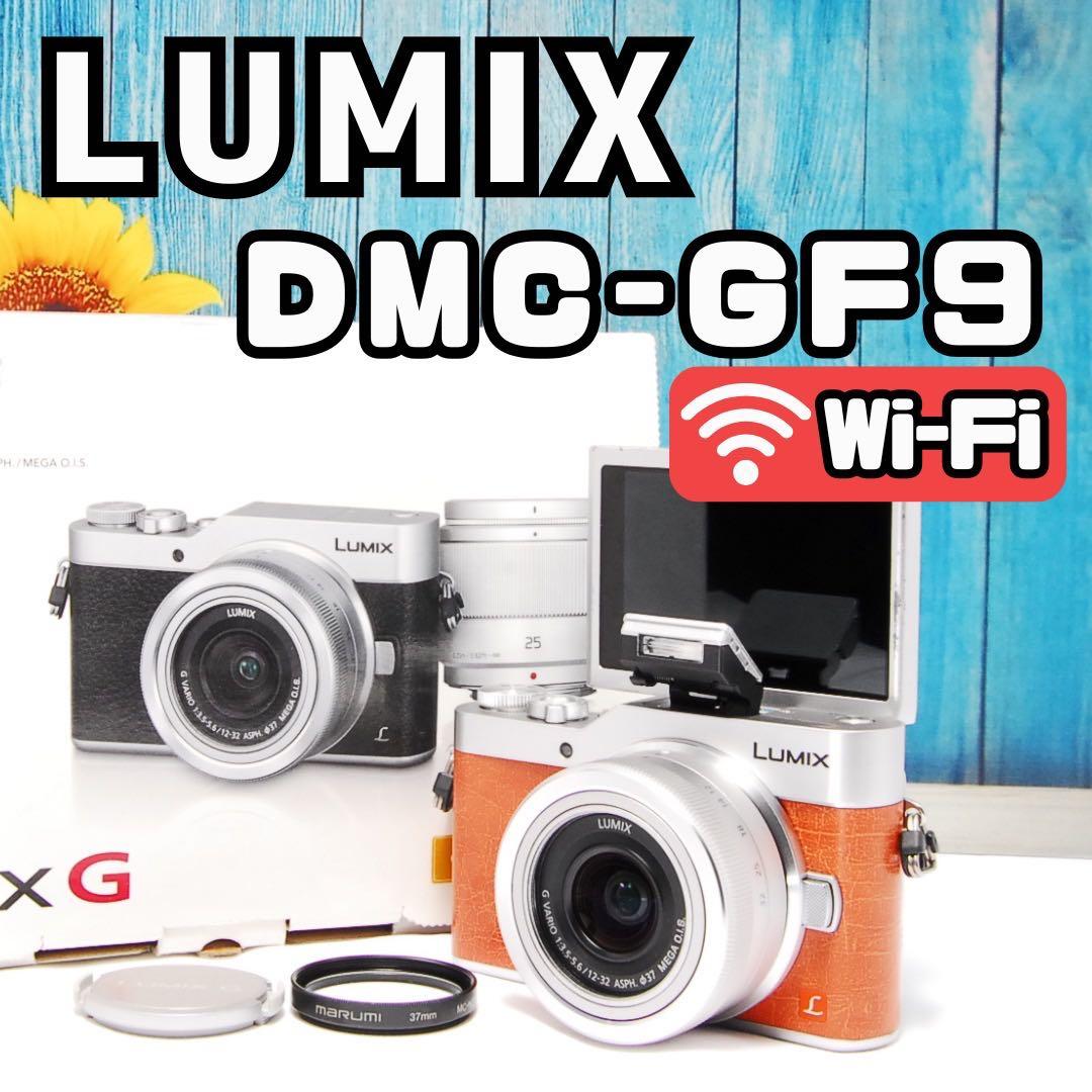 【ショット数611回】LUMIX GF9 SNS Wi-Fi チルト ミラーレス