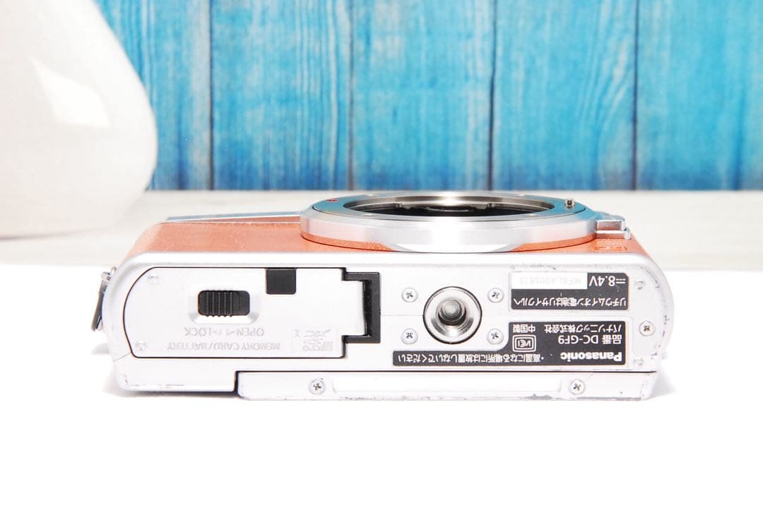 【ショット数611回】LUMIX GF9 SNS Wi-Fi チルト ミラーレス