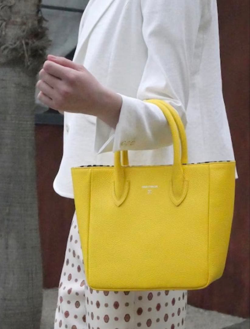 DRESSTERIOR Ladies 日本製シュリンクレザーミニトート