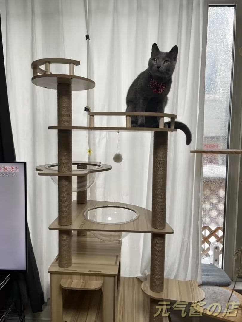 キャットタワー 170cm 6 段宇宙船 大型猫用 木製 多頭飼い