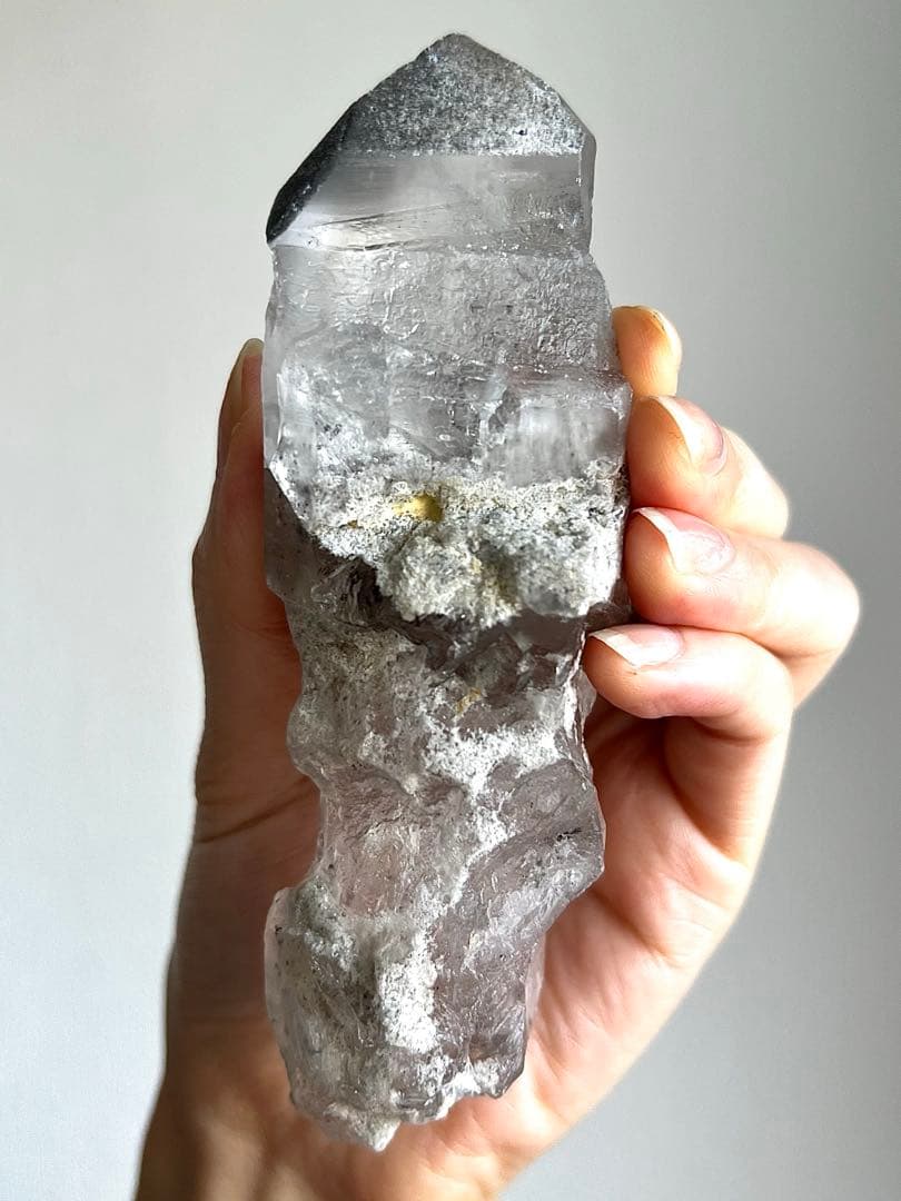 美超希少✨AAAAブラックファントムレムリアン✨天界のホワイトガーデンピュアレイ