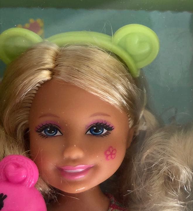 新品。アメリカで購入、バービー人形。ちびっ子勢揃い遊園地2012年。かわいい❤️