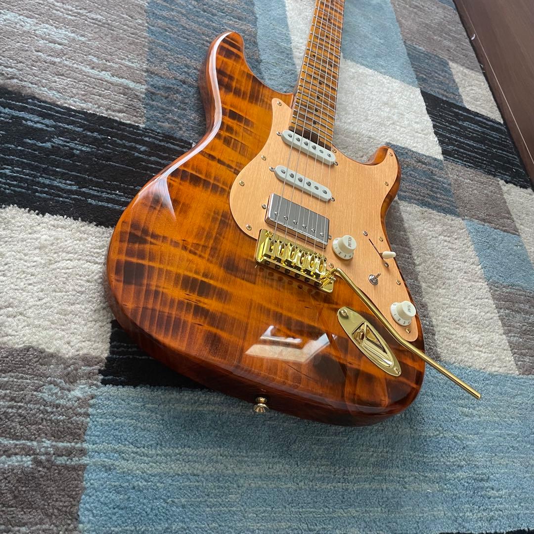 ギター Bullfighter D-190