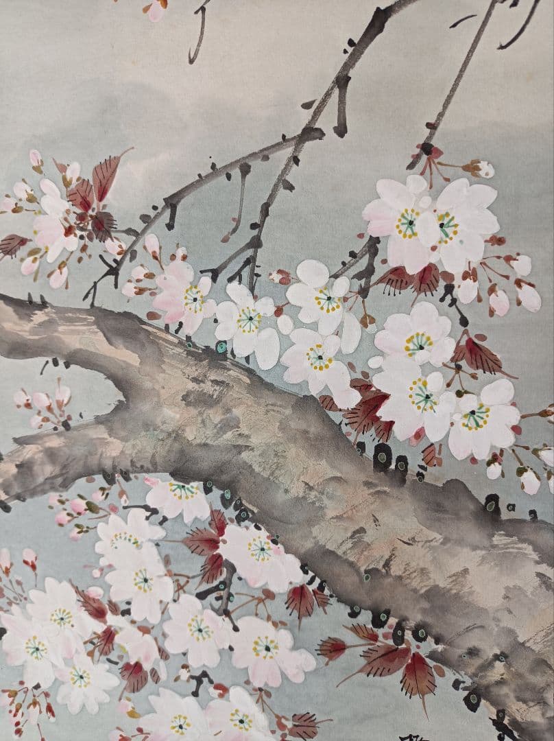 梅甫 軸 縁起 おもてなし 絵 桜 花鳥 茶 京都 中国 美術 インテリア