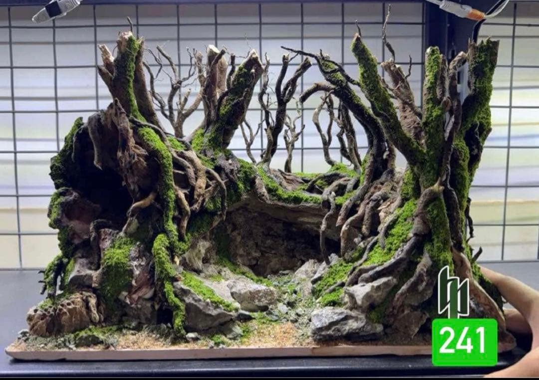 TTD 【⭐︎ ひばな様⭐︎】【美品・数量限定】