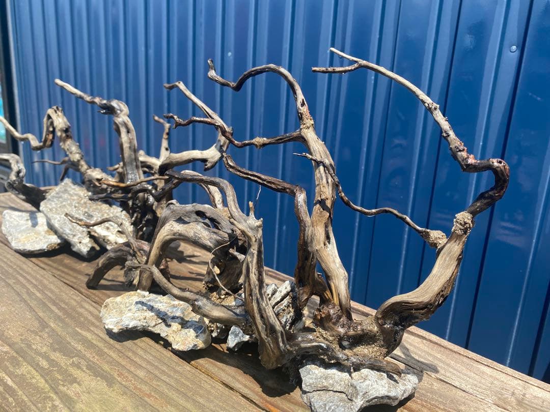 流木レイアウト 2点セット　A853