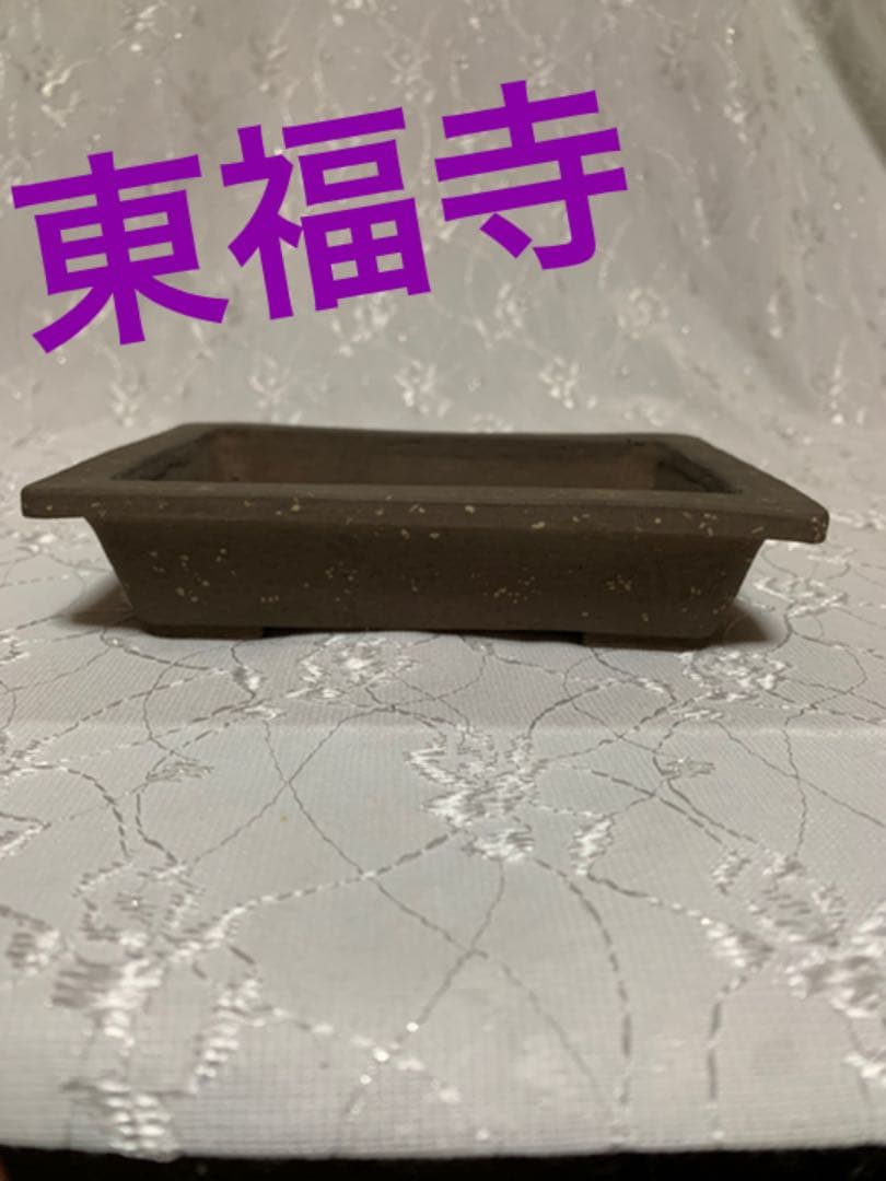 東福寺　盆栽鉢