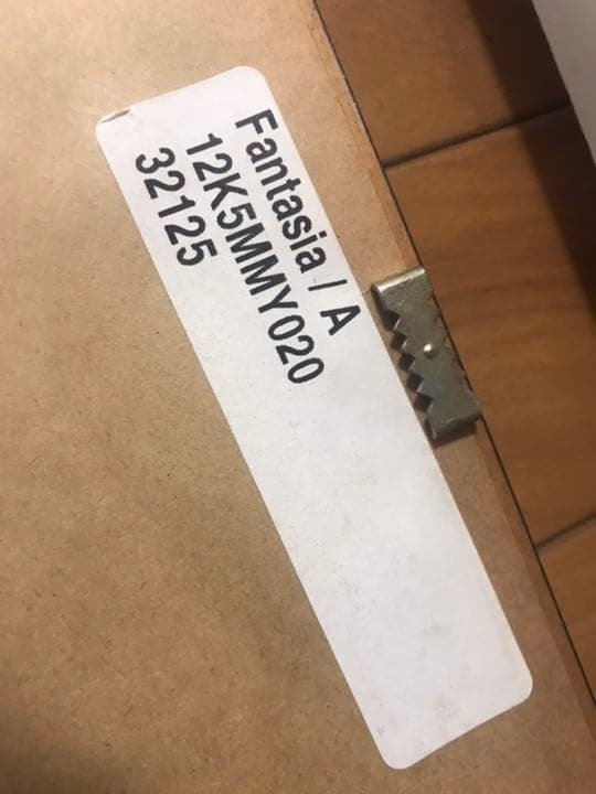 Fantasia Disney Mickey Mouse 原画 アニメ 絵画