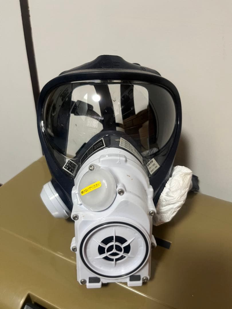 ✴︎塗装橋梁マスク✴︎！