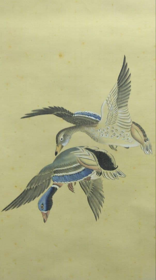 円山応震（円山応挙の孫）円山派 3代目【花鳥図】掛軸　絹本　双福