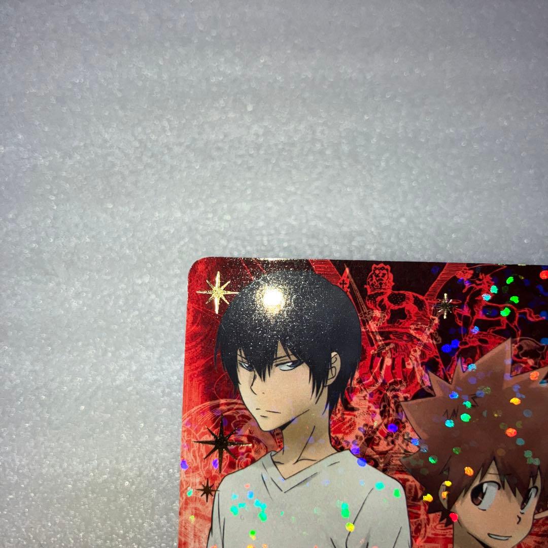 雲雀 ツナ カード