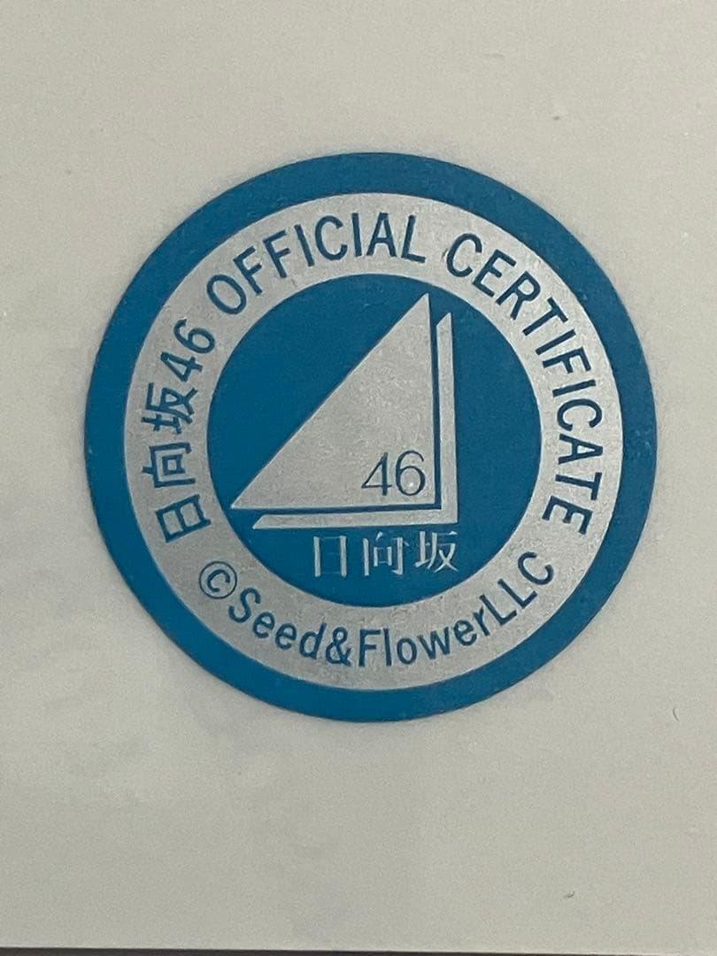 ひ*こ様 今週のみ 小坂菜緒日向坂46 BRAND NEW LIVE 直筆サイン