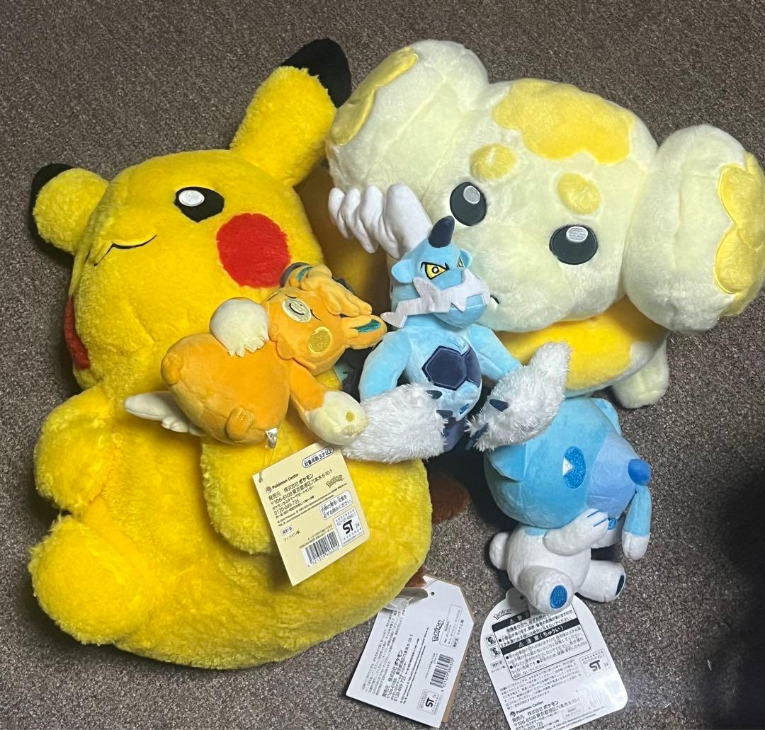 ピカピカボックス 2026 コイキング バッグ オス 抜き取りなし