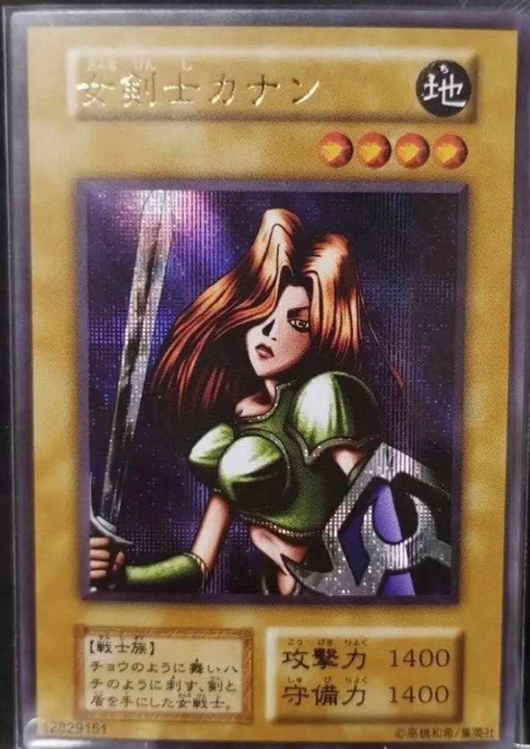 カオス・ソルジャー　女剣士カナン　ゼラ　他　鑑賞用