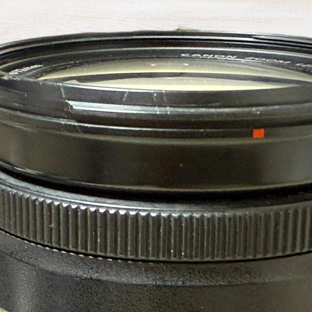 Canon ズームレンズ EF-S 18-200mm IS #267