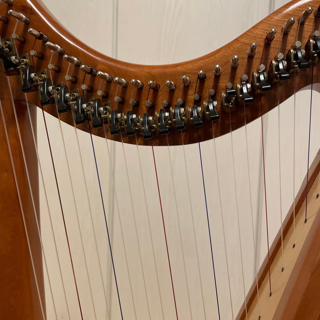 【クルミさん専用】ハープ（ストーニーエンド社　イヴ）