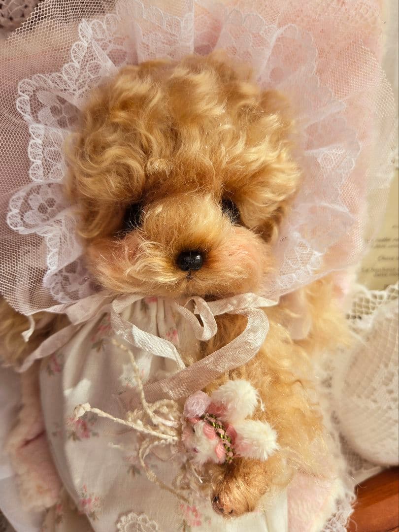 カーリーモヘアのトイプードルちゃん.*・゜特別なset₊˚⊹ ʚɞ テディベア