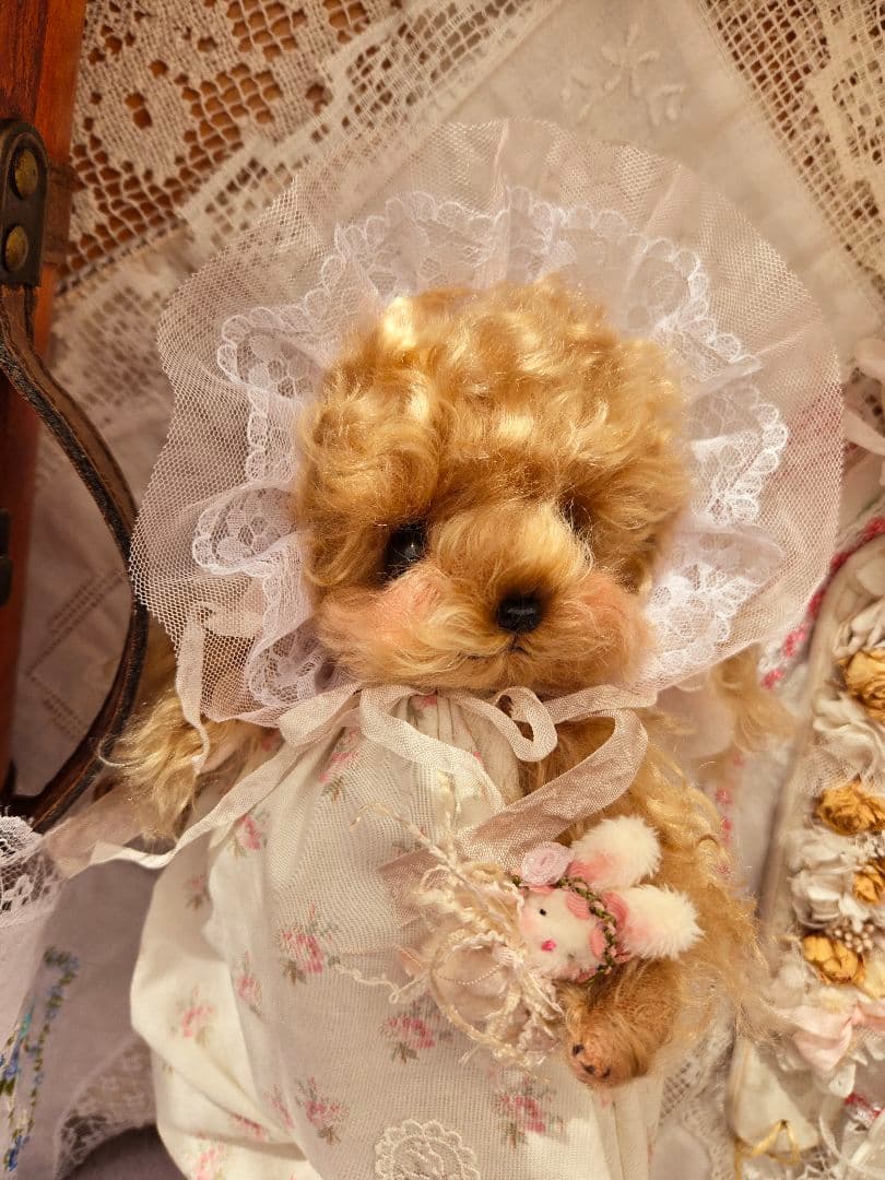カーリーモヘアのトイプードルちゃん.*・゜特別なset₊˚⊹ ʚɞ テディベア