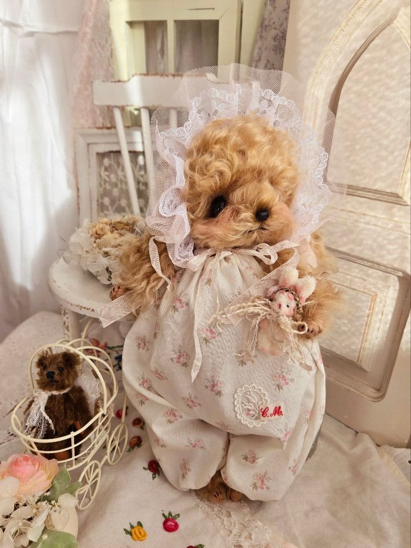 カーリーモヘアのトイプードルちゃん.*・゜特別なset₊˚⊹ ʚɞ テディベア