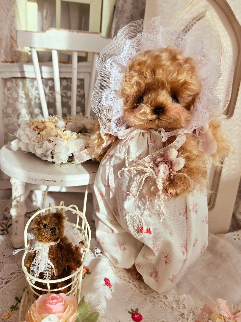 カーリーモヘアのトイプードルちゃん.*・゜特別なset₊˚⊹ ʚɞ テディベア