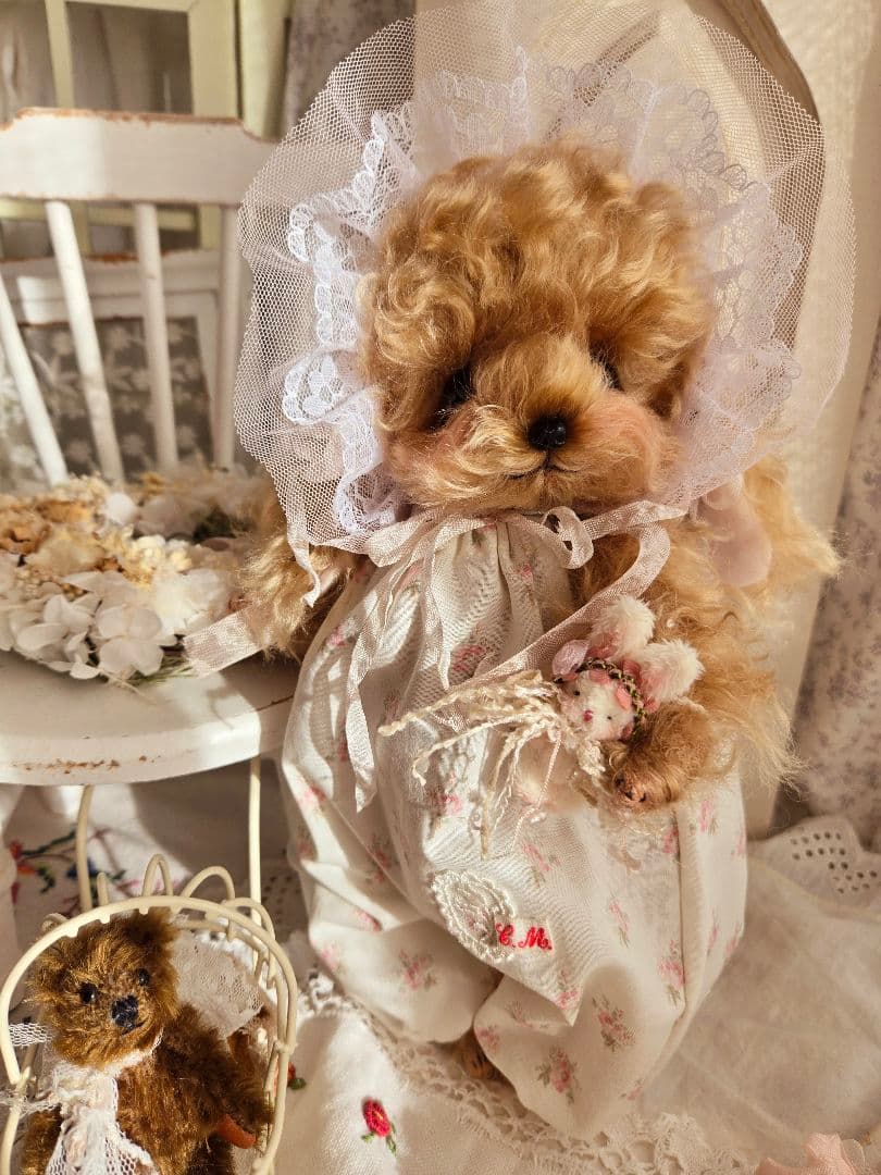 カーリーモヘアのトイプードルちゃん.*・゜特別なset₊˚⊹ ʚɞ テディベア