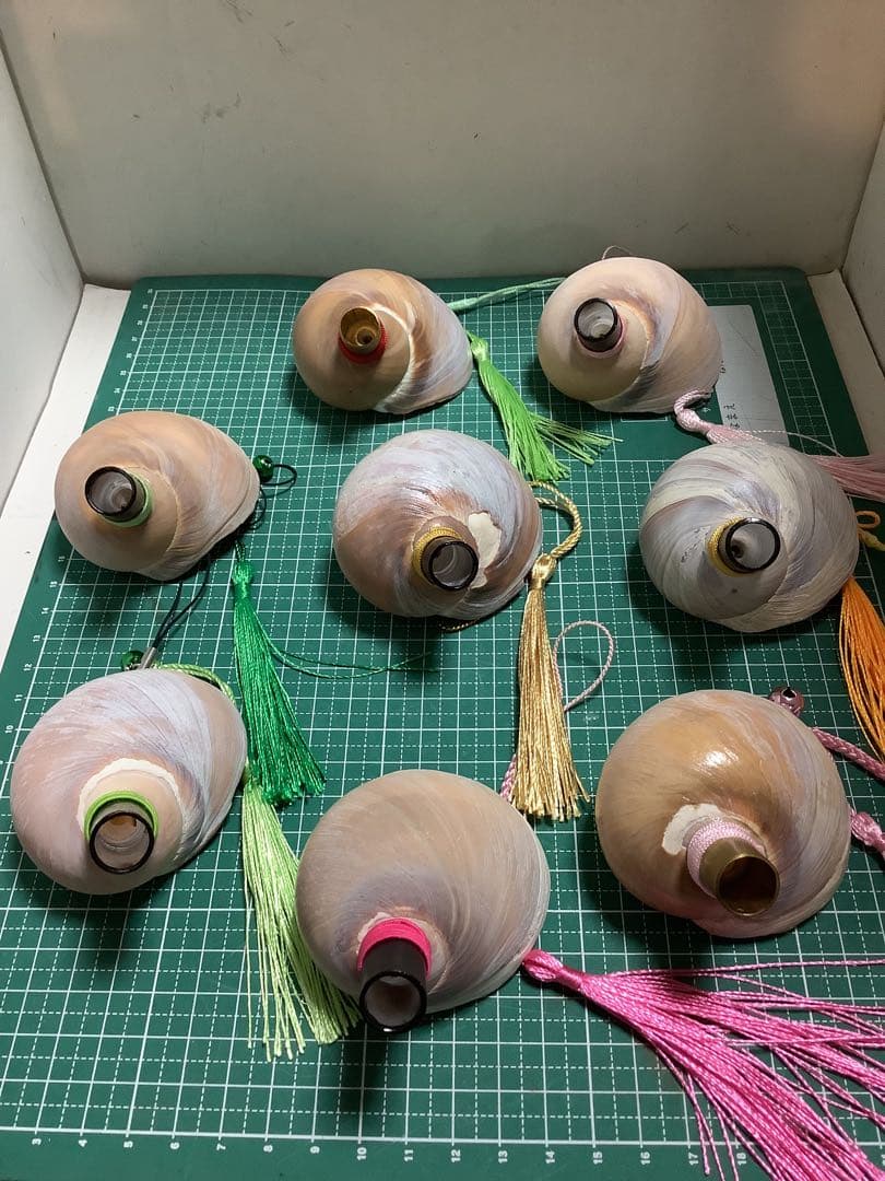 ヤフメリ39・ツメタガイ・法螺貝・山伏・修験者・金峯山・羽黒山・戦国武将・国宝