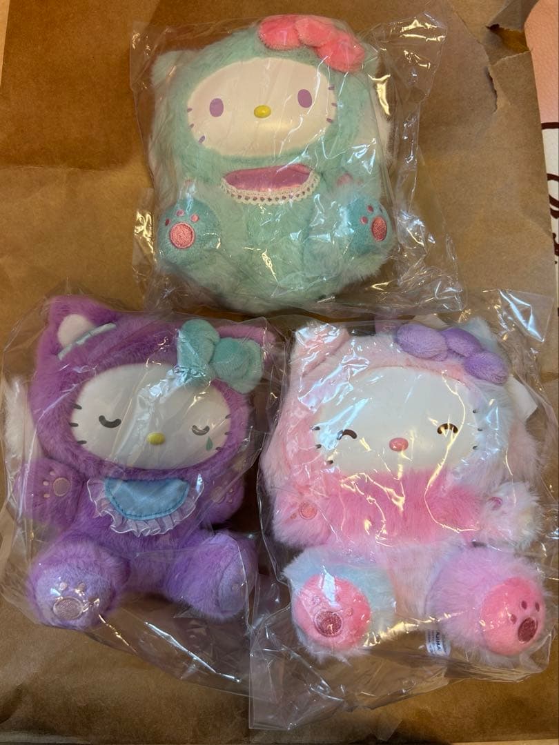 ファインフェイスキャット　キティ　kitty ブラウン　ホワイト　ブラック