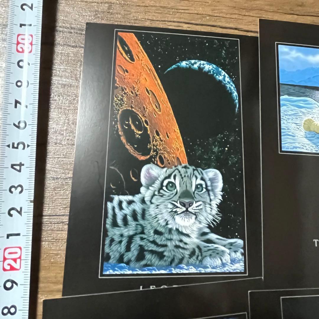 ブラックポストカード　5枚セット　シムシメールコレクション