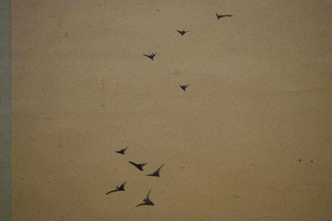 真作/備後福山生/羽田桂舟/人物図/座頭/布袋屋掛軸HI-503