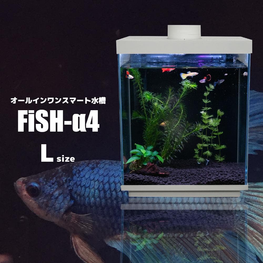【オールインワン】スマートガラス水槽 Fish-α4 12L