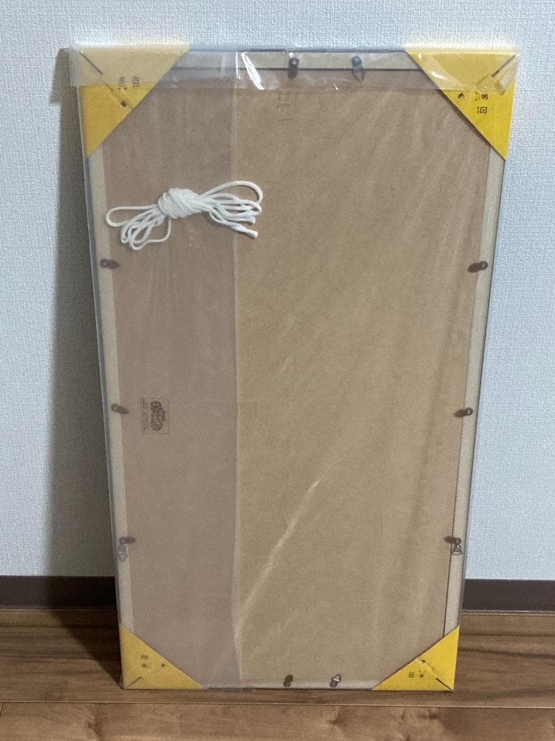 最終値下げ【ロッキン・ジェリー・ビーン】ストリートファイター・シルクスクリーン