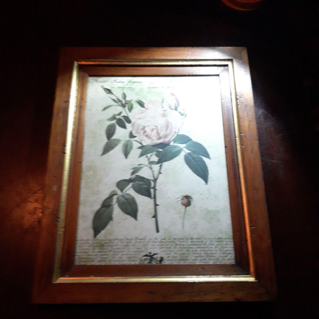 P.J.ルドゥーテ　薔薇　プリント　絵　額